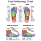 Foot Reflexology